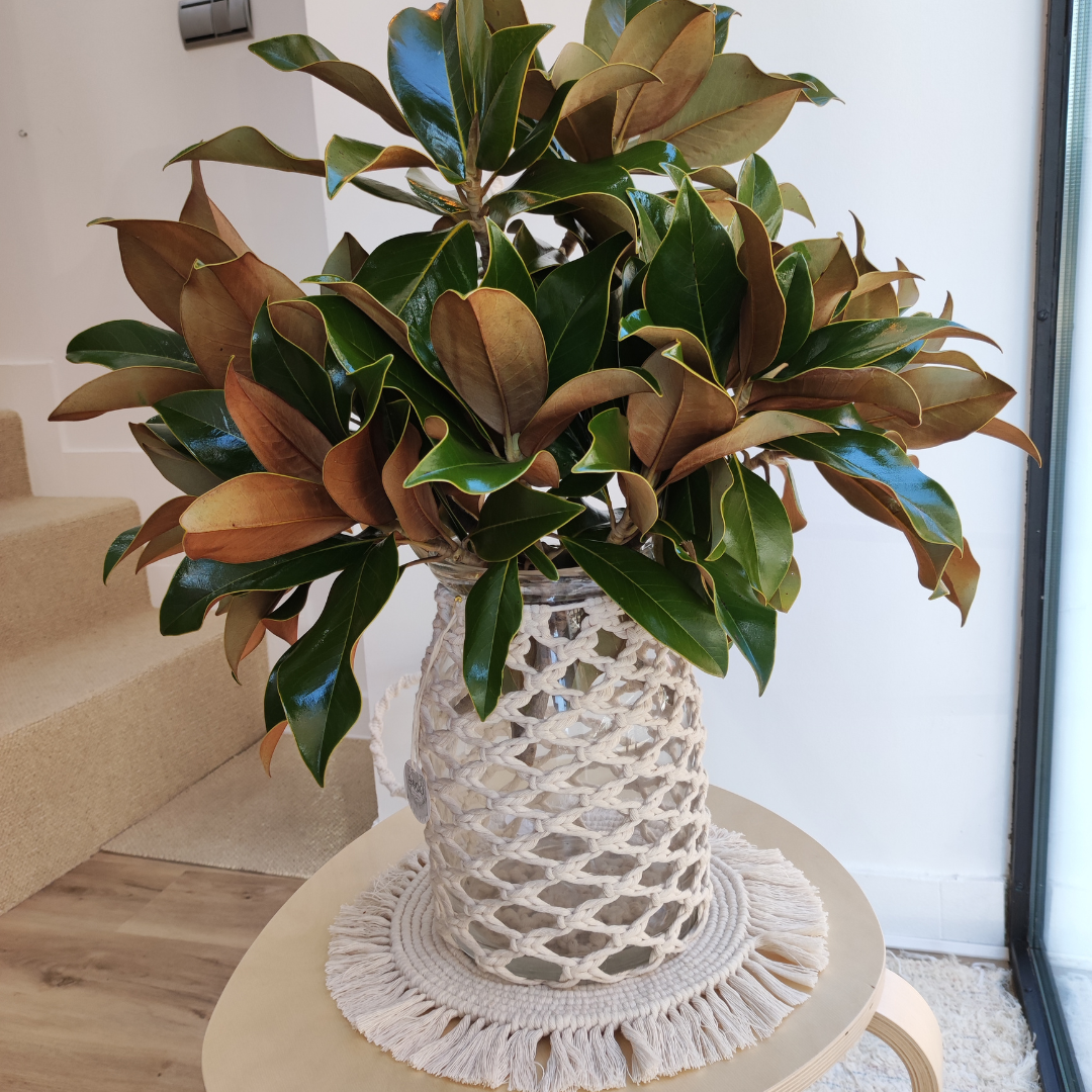 Tarros decorados en macramé