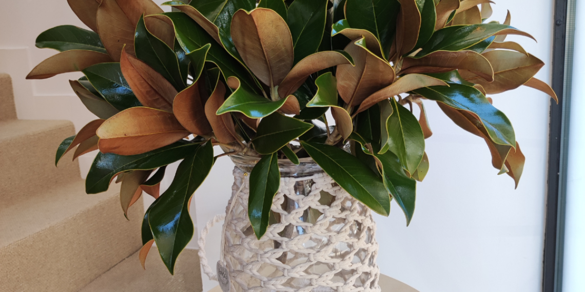 Tarros decorados en macramé
